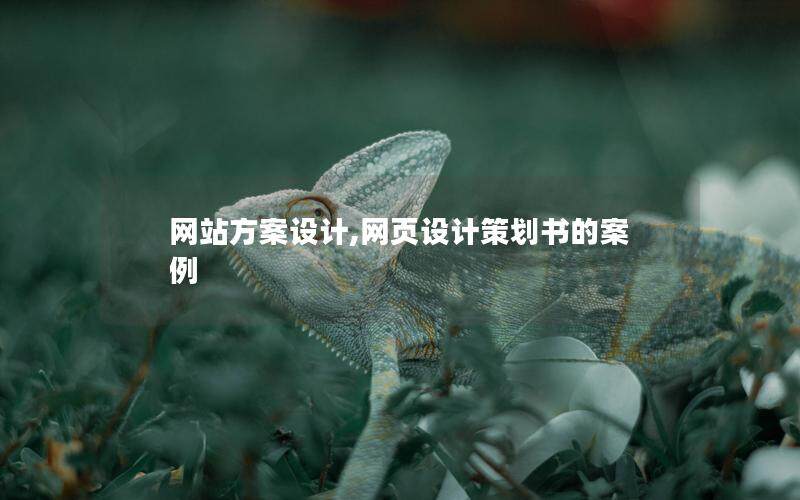 网站方案设计,网页设计策划书的案例