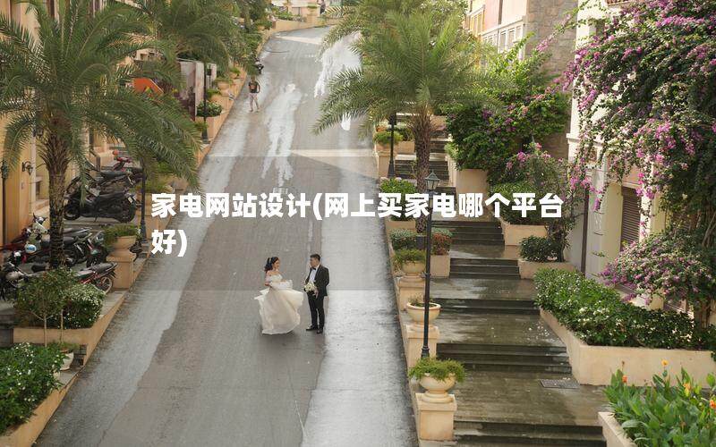 家电网站设计(网上买家电哪个平台好)